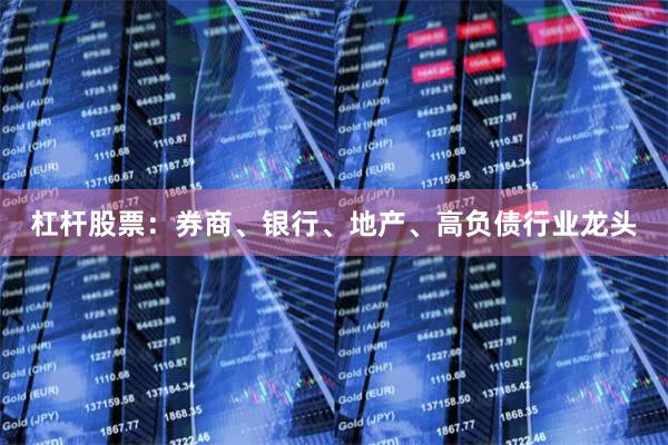 杠杆股票：券商、银行、地产、高负债行业龙头