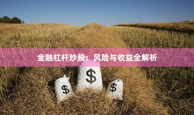 金融杠杆炒股：风险与收益全解析